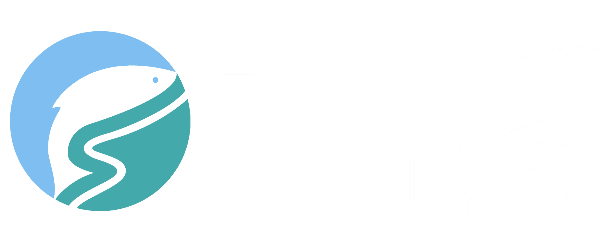 Fish Hebrides